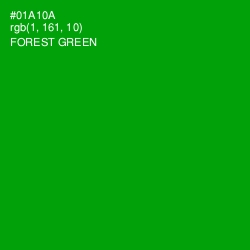 #01A10A - Forest Green Color Image