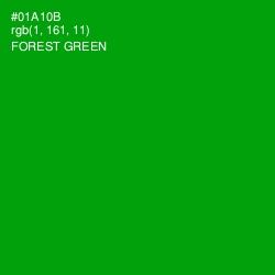#01A10B - Forest Green Color Image