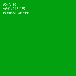 #01A110 - Forest Green Color Image