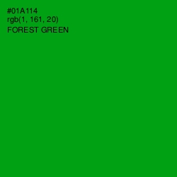 #01A114 - Forest Green Color Image