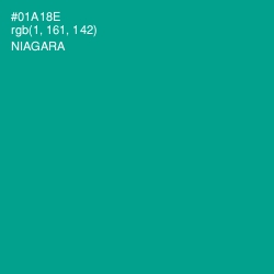 #01A18E - Niagara Color Image