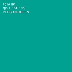 #01A191 - Persian Green Color Image