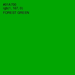 #01A700 - Forest Green Color Image