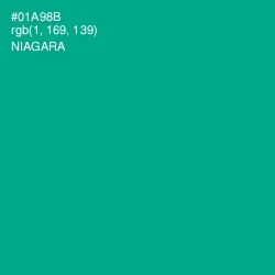 #01A98B - Niagara Color Image