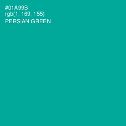 #01A99B - Persian Green Color Image