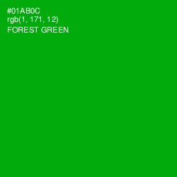 #01AB0C - Forest Green Color Image