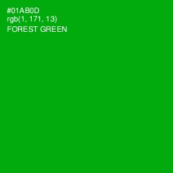#01AB0D - Forest Green Color Image