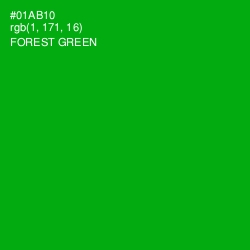 #01AB10 - Forest Green Color Image