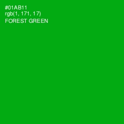 #01AB11 - Forest Green Color Image