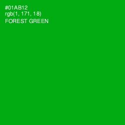 #01AB12 - Forest Green Color Image