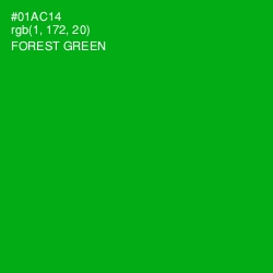 #01AC14 - Forest Green Color Image