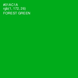 #01AC1A - Forest Green Color Image