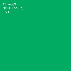 #01AC62 - Jade Color Image