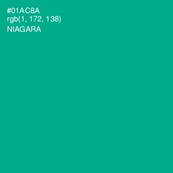 #01AC8A - Niagara Color Image