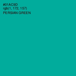 #01AC9D - Persian Green Color Image