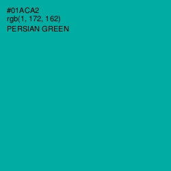 #01ACA2 - Persian Green Color Image