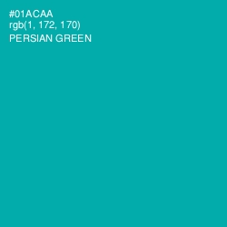 #01ACAA - Persian Green Color Image