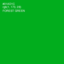 #01AD1C - Forest Green Color Image