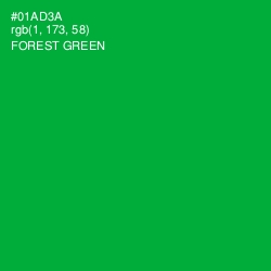 #01AD3A - Forest Green Color Image