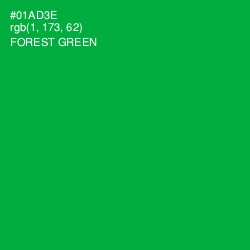 #01AD3E - Forest Green Color Image