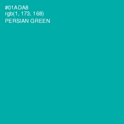 #01ADA8 - Persian Green Color Image