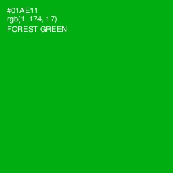 #01AE11 - Forest Green Color Image