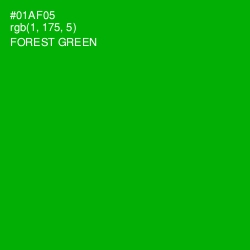 #01AF05 - Forest Green Color Image