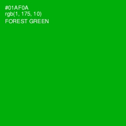 #01AF0A - Forest Green Color Image