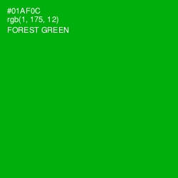 #01AF0C - Forest Green Color Image