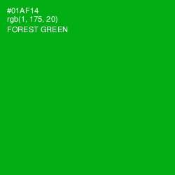 #01AF14 - Forest Green Color Image