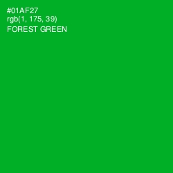 #01AF27 - Forest Green Color Image