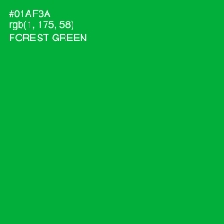 #01AF3A - Forest Green Color Image