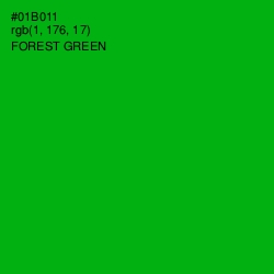 #01B011 - Forest Green Color Image