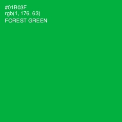 #01B03F - Forest Green Color Image