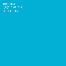 #01B0D4 - Cerulean Color Image