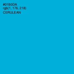 #01B0DA - Cerulean Color Image