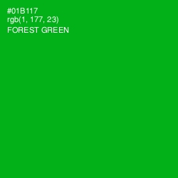 #01B117 - Forest Green Color Image