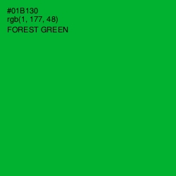 #01B130 - Forest Green Color Image