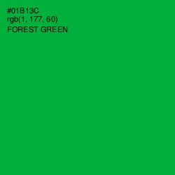 #01B13C - Forest Green Color Image