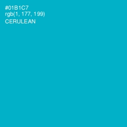 #01B1C7 - Cerulean Color Image