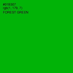 #01B307 - Forest Green Color Image