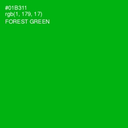 #01B311 - Forest Green Color Image