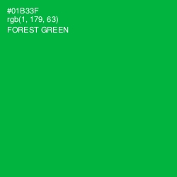 #01B33F - Forest Green Color Image