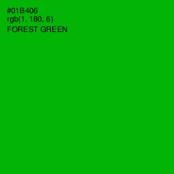 #01B406 - Forest Green Color Image