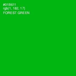 #01B611 - Forest Green Color Image