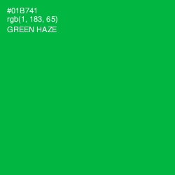 #01B741 - Green Haze Color Image
