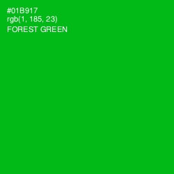 #01B917 - Forest Green Color Image