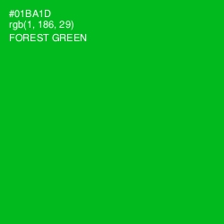 #01BA1D - Forest Green Color Image