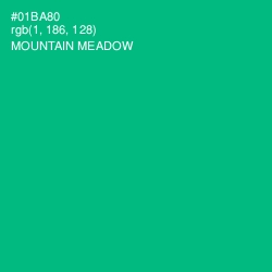 #01BA80 - Mountain Meadow Color Image