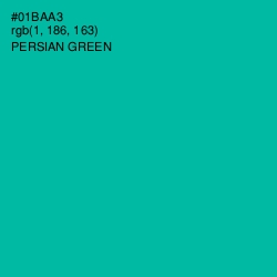#01BAA3 - Persian Green Color Image
